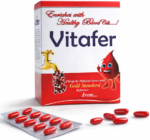 Vitafer - Iron Supplement